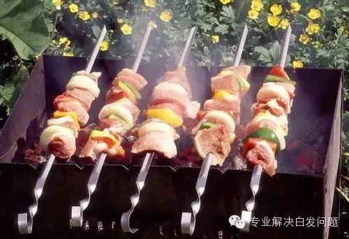 白发偏爱偏食者