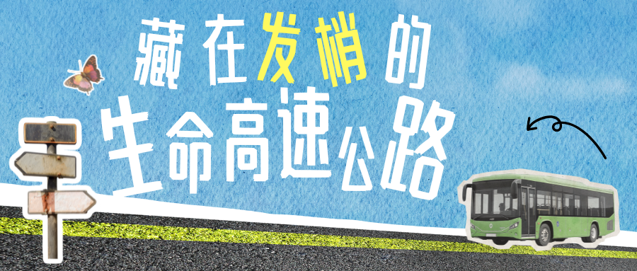 藏在发梢的生命高速公路