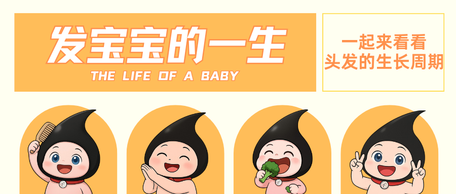 关于一根头发的生老病死