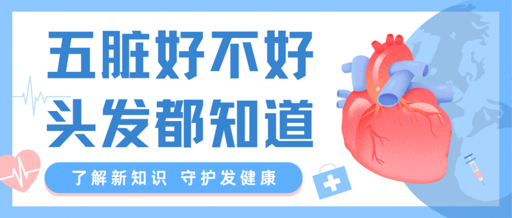 五脏好不好，头发全知道