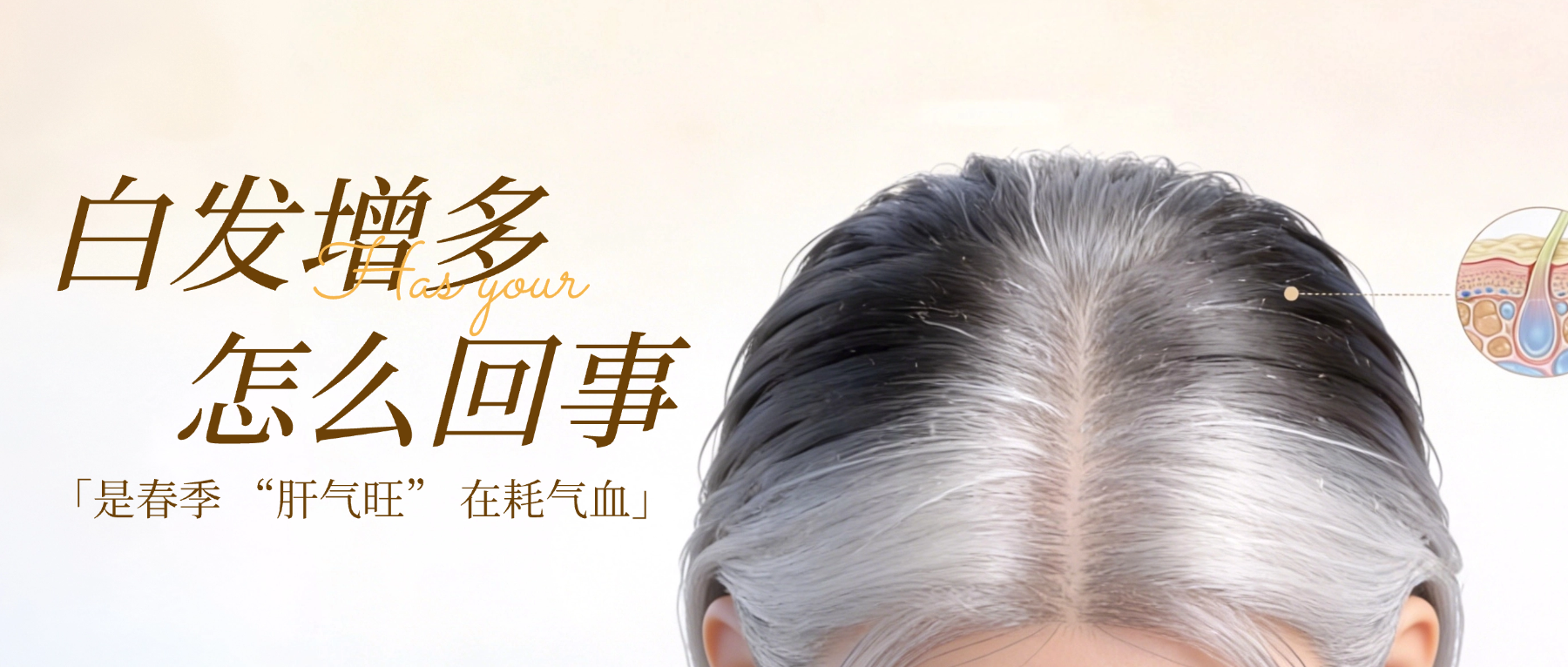 春季白发突然变多？到底怎么回事？！